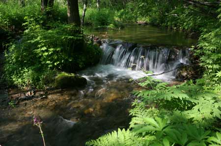 首屆中國•黑龍江鶴崗國際界江旅游節即將隆重開幕