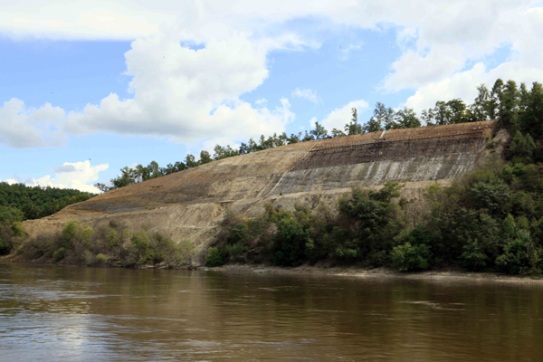 我國首個6550萬年前有關恐龍滅絕的地層界線被確認