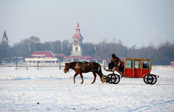 哈爾濱：數九寒天戲冰雪