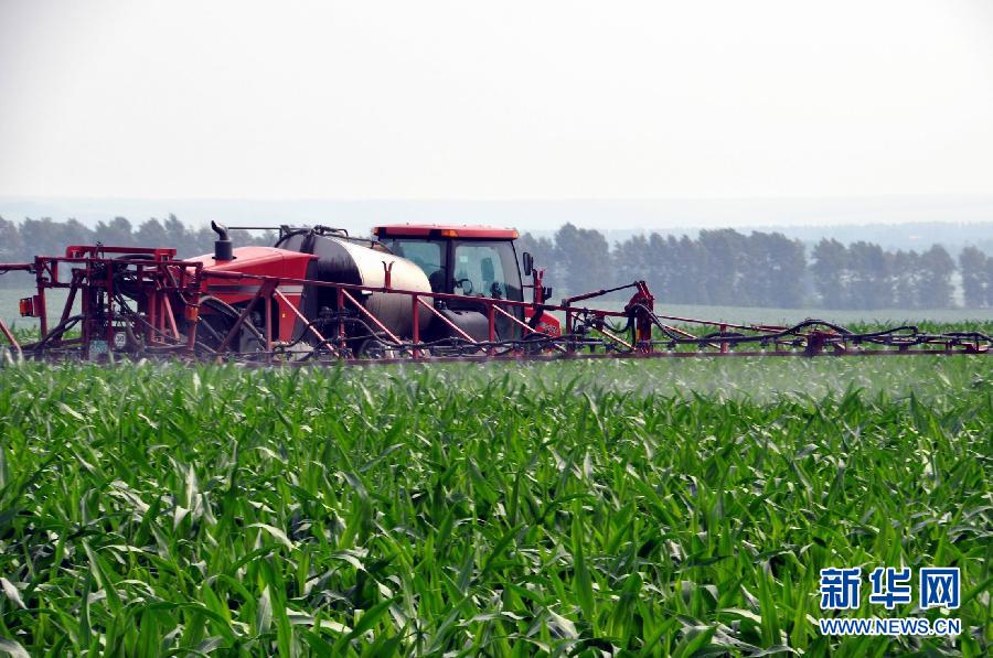 黑龍江墾區玉米“保健”促高產