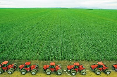 富錦現(xiàn)代化大農(nóng)業(yè)示范區(qū)