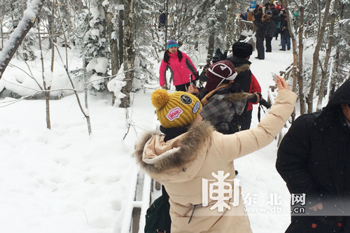 百家旅行社和旅游電商體驗龍江冰雪游 為冰雪之冠“點贊”