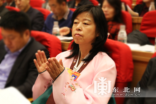 聚焦省政協十一屆三次會議上的“最炫名族風”