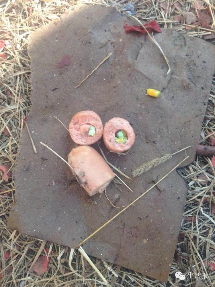 哈爾濱遠大都市綠洲又有3條寵物狗死亡 驚現藏毒火腿腸