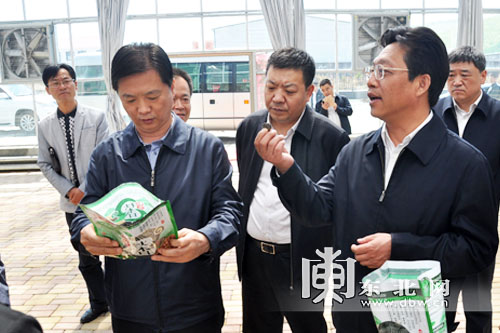 楊汭:加強基層黨組織建設 夯實經濟社會發展基礎