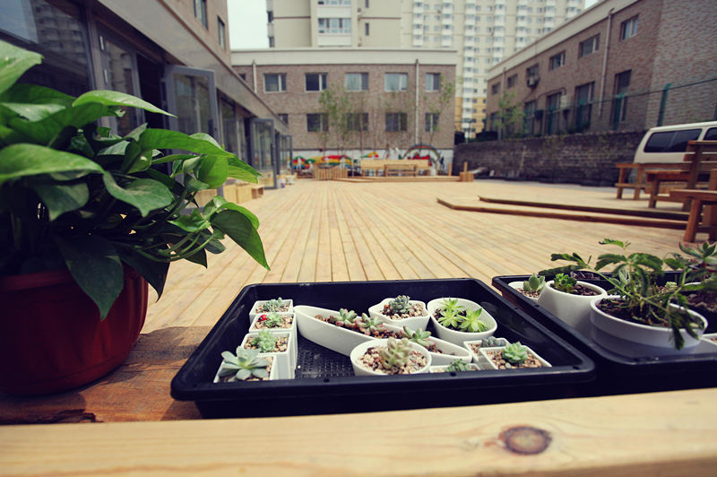 哈爾濱六個“80后”創辦文藝咖啡館 安放手藝人夢想