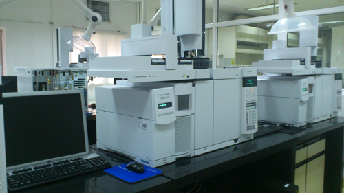 “哈爾濱美麗鄉村行”之走進雙城