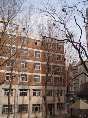 沙塵暴來襲 武漢臟兮兮