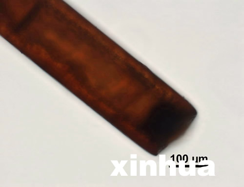 專(zhuān)家稱神農(nóng)架野人不存在 野人紅毛皆是偽造