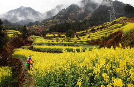 三峽庫區春來早