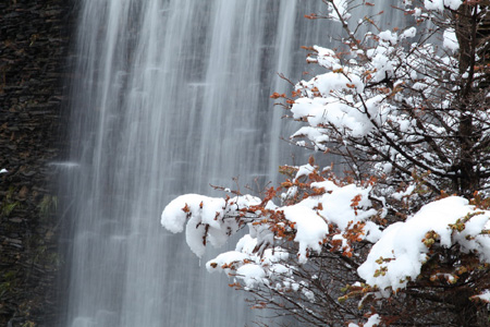 神農架降十年最大春雪