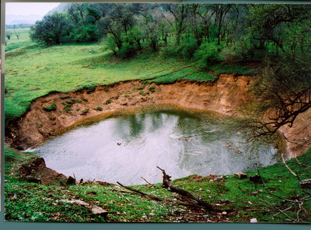 神農(nóng)架大九湖景區(qū)重新開(kāi)放
