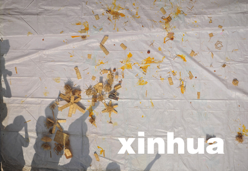 武漢高校“高空護蛋”比賽開鑼