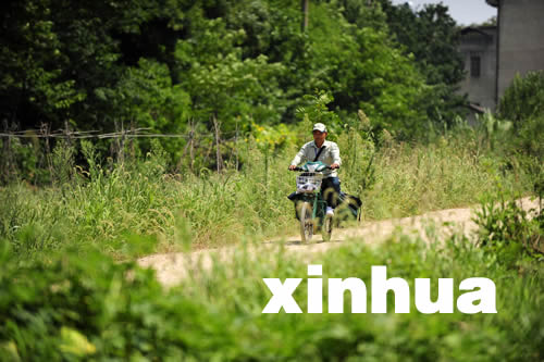 “火爐”武漢高溫目擊:熱浪滾滾鄉(xiāng)郵路