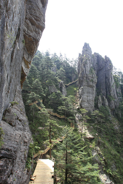 最長棧道揭“神農一景”神秘面紗