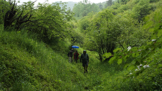 全球首部中美合作野人電影《大腳印》將在神農架開拍