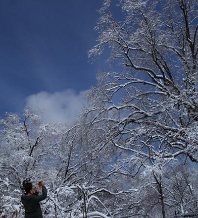 強冷空氣致神農架驟降“桃花雪”