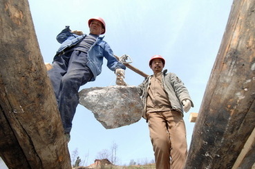 《瞭望》文章:解讀