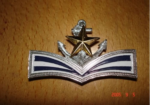 送給那些為革命犧牲的老前輩們