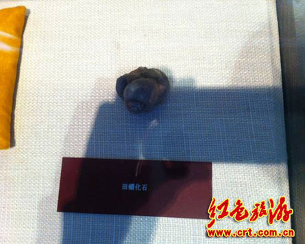 瞻仰沈鈞儒紀念館 尋覓歷史足跡