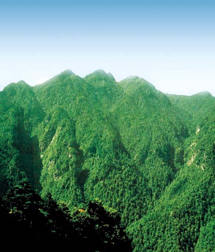 星火燎原——井岡山革命紀(jì)念地