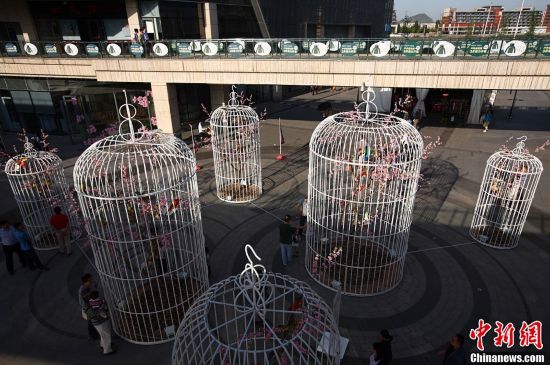 南京街頭“巨型鳥籠”陣倡導綠色生活