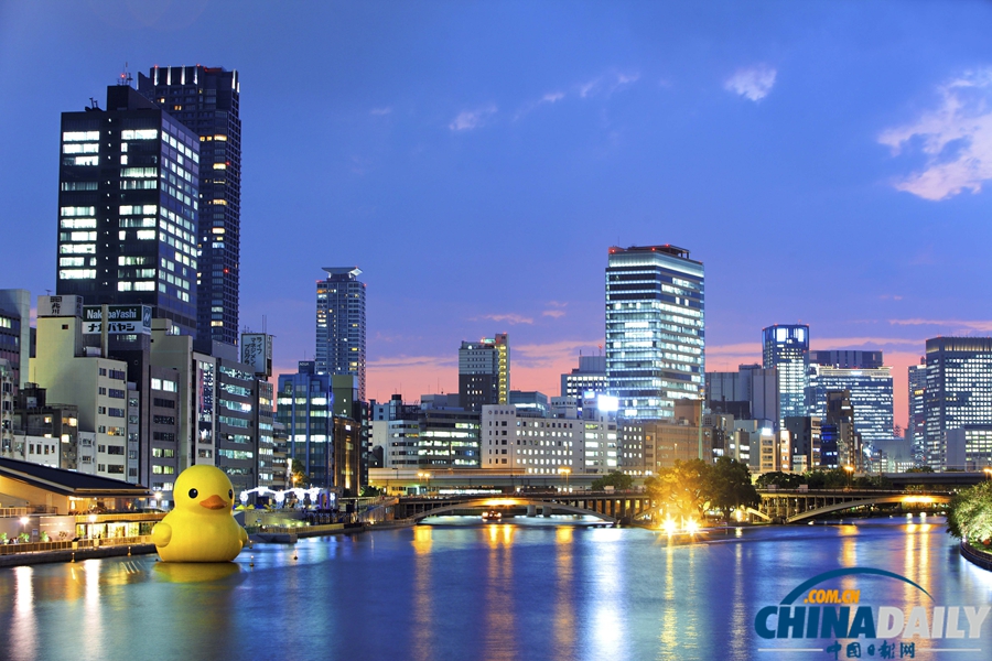 大黃鴨即將北京下水 圖片回顧其游歷之路