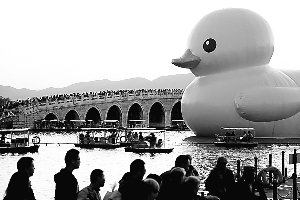 8萬(wàn)人爭(zhēng)看大黃鴨 市屬公園迎來(lái)高峰
