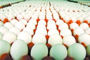 看看國外保障食品安全的五大招數