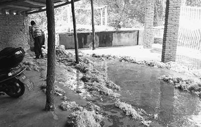 限塑三年探盲區：醫療廢棄物回收變身塑料袋(圖)