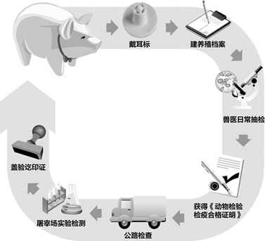 一塊豬肉的履歷——還原豬肉生產全過程