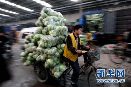 菜價猶如“過山車” 價格穩定機制何去何從？