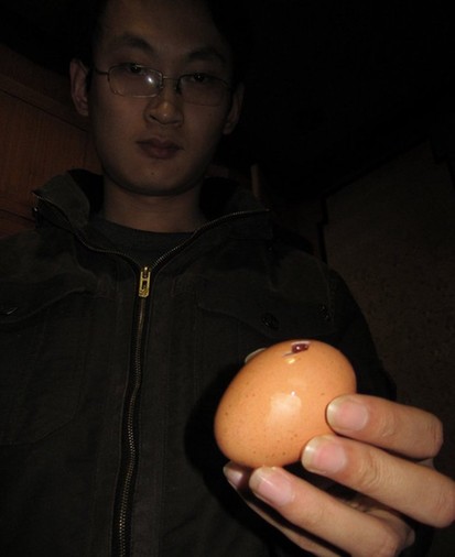 山東現(xiàn)“橡皮雞蛋”煮熟蛋黃能彈起20厘米(圖)