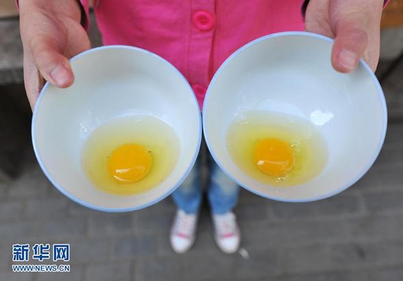 “土雞蛋”穿外衣賣高價 炒概念消費者霧里看花