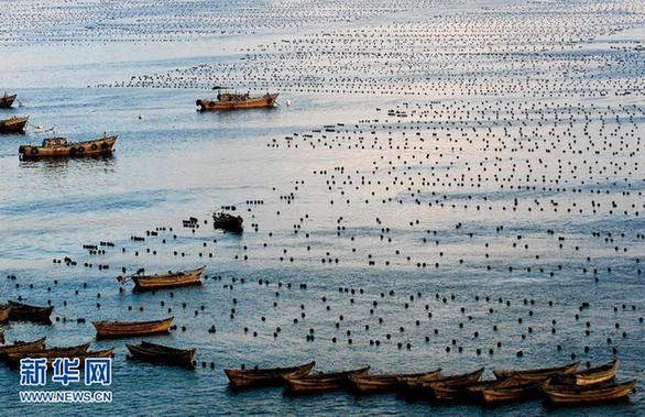 我國沿海11個海洋功能區(qū)劃全部獲批