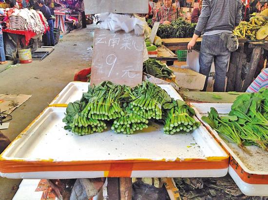 網(wǎng)友抱怨菜價(jià)上漲:小時(shí)吃不起肉 長大吃不起菜