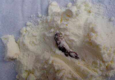 多美滋奶粉吃出風干蟑螂 售后稱你帶孩子找消協 圖