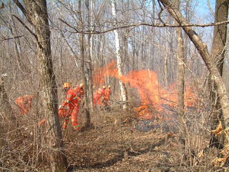 紅石林業局開展森林防火實戰練兵