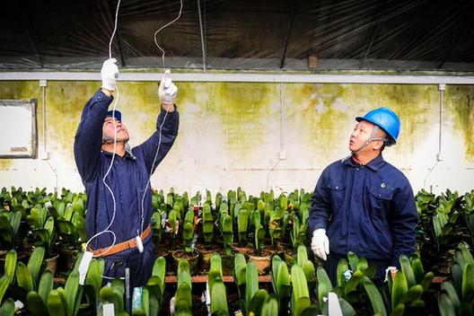 長春：保障供電 助大棚溫暖過冬