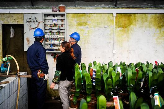 長春：保障供電 助大棚溫暖過冬