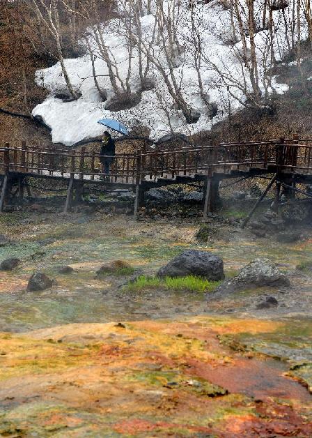 風(fēng)雪情韻長白山
