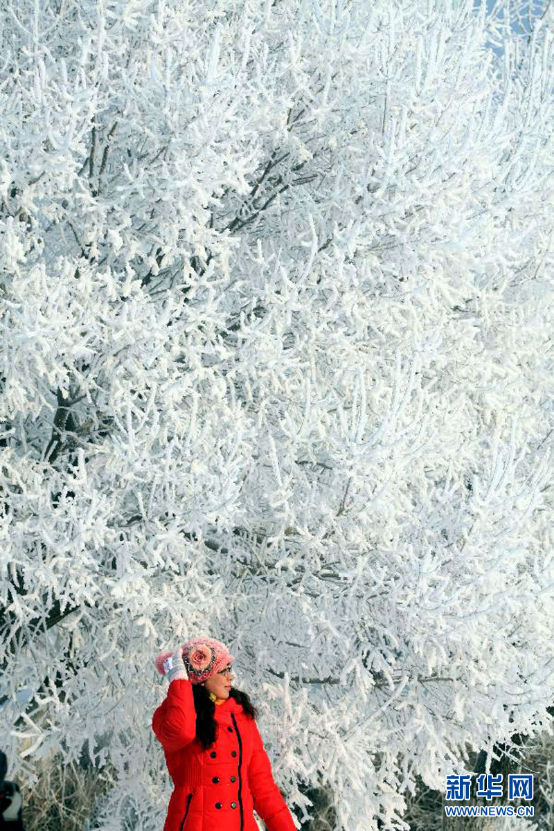 吉林：霧凇引客來