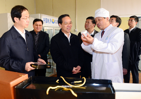 以改革創(chuàng)新為動力 發(fā)揮引領示范作用 推動中部創(chuàng)新轉(zhuǎn)型核心區(qū)建設