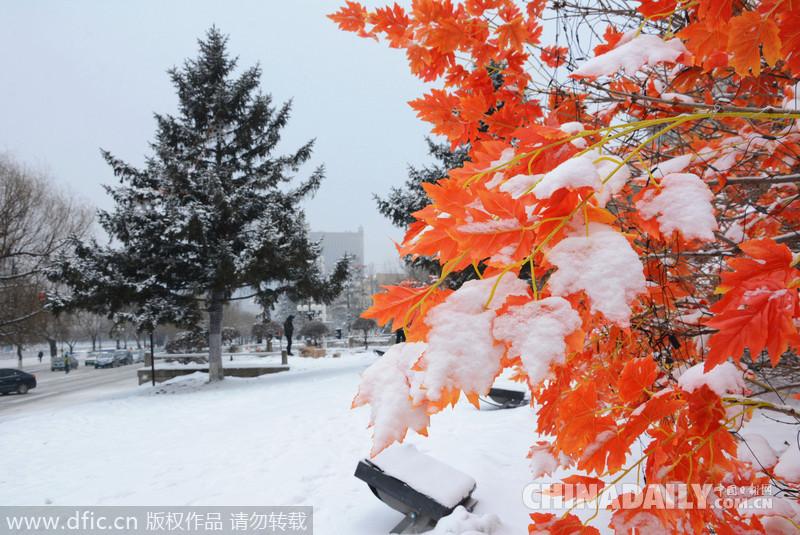 吉林迎來2015年首場大雪 氣象臺發布道路冰雪預警