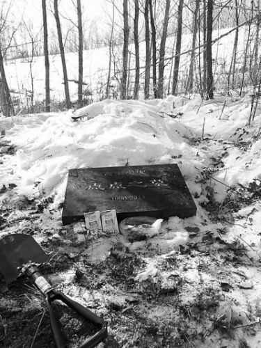 16歲寵物貓病逝 長春主人為其立碑紀念