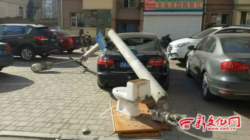 二三小區內路燈桿被撞斷 奧迪“躺槍”被砸