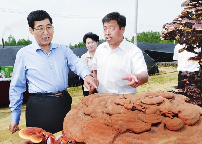 巴音朝魯：突出優勢特色 加快縣域發展