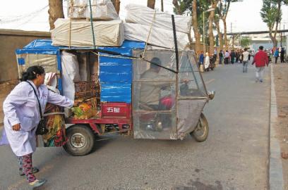 長春市寬城區昨日取締占道經營“鴿子市”
