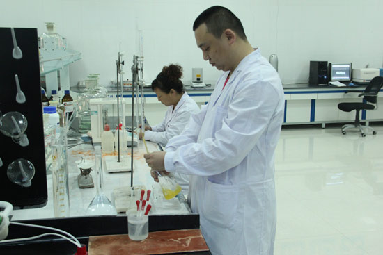 雙龍公司：科技創新助推企業實現跨越式發展