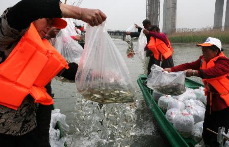 江蘇泰州放魚節 50萬尾魚種入長江